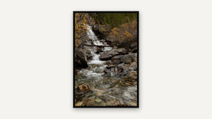 Tangle Creek Cascade by Harry Collins, black float frame [fin:float:Black]