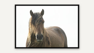 The Morning Watch by Debra Garside, black float frame [fin:float:Black]