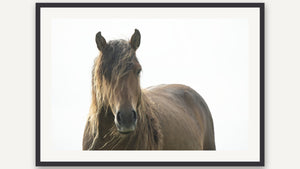 The Morning Watch by Debra Garside, black picture frame [fin:paper:Black]