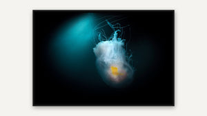 The Surreal Jellyfish by Gary Burns, black float frame [fin:float:Black]