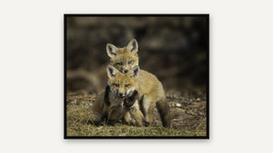 Three Kits by Missy Mandel, black float frame [fin:card]