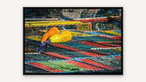 Until Next Season by Lisa Robertson, black float frame [fin:float:Black]