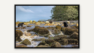 Vancouver Island Seascape by Christy Grinton, black float frame [fin:float:Black]