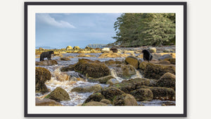 Vancouver Island Seascape by Christy Grinton, black picture frame [fin:paper:Black]