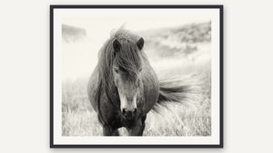 Wayward Wind by Debra Garside, black picture frame [fin:paper:Black]