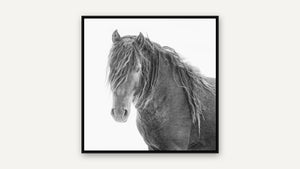 Windswept III by Debra Garside, black float frame [fin:float:Black]