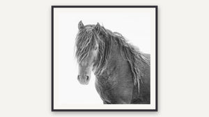 Windswept III by Debra Garside, black picture frame [fin:paper:Black]
