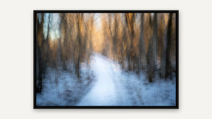 Into the Winter Woods by Robert A. Metcalfe, black float frame [fin:float:Black]