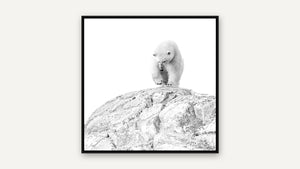 Winter Stroll by Christy Grinton, black float frame [fin:float:Black]