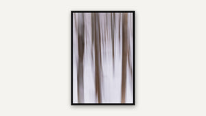 Winter Veil by Lisa Robertson, black float frame [fin:float:Black]