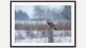 Winter's Sentinel by Gen Caron, black picture frame [fin:paper:Black]