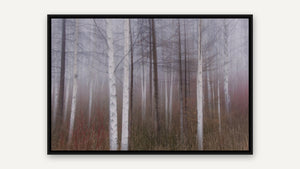 Wrapped in Fog by Lisa Robertson, black float frame [fin:float:Black]