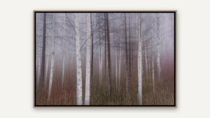 Wrapped in Fog by Lisa Robertson, whitewashed wood float frame [fin:float:Whitewashed Wood]