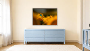 Greeting the Golden Hour by Jennifer Hottinger-Sloan, 48 x 32 in, whitewashed wood float frame