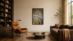 Looking Up by Lisa Robertson, 24 x 36 in, black float frame