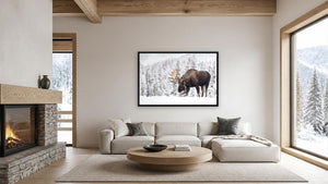 Moose in the Snowfall by Harry Collins, 36 x 24 in, black float frame