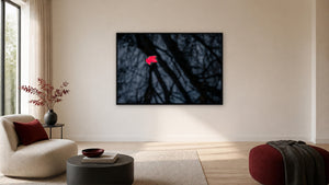 One Last Colour by Jim Neale, 48 x 32 in, black float frame