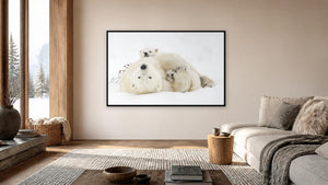 Polar Motherhood by Debra Garside, 60 x 37.5 in, black float frame