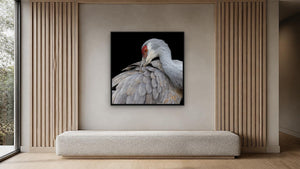 Quiet Beauty by Christy Grinton, 36 x 36 in, black float frame