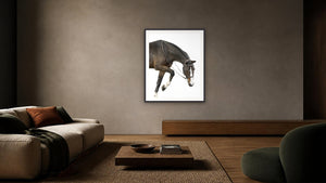 Stepping Out by Debra Garside, 32 x 40 in, black paper frame
