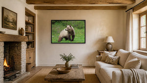 The Beauty by Nancy Wessely, 36 x 24 in, black float frame