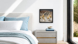The Dance of the Gannets by Jennifer Hottinger-Sloan, 16 x 16 in, black float frame